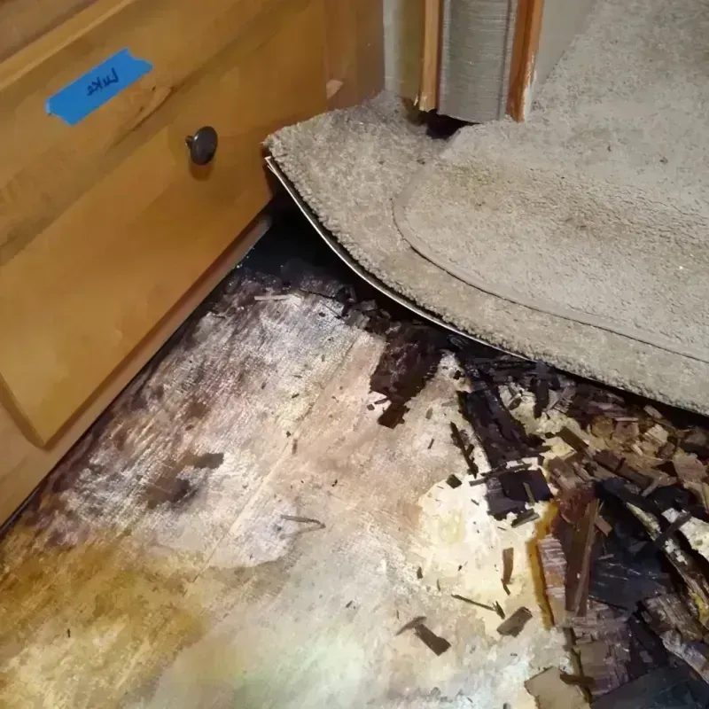 Best Wood Floor Water Damage Service in Fortuna Foothills, AZ